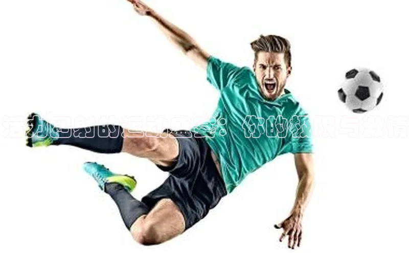 欧陆注册登录入口2024